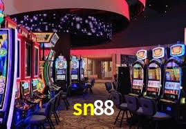 Sistemas de Segurança sn88